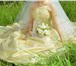 Изображение в Одежда и обувь Свадебные платья Продам свадебное платье - ничего лишнего, в Нижнем Новгороде 5 000