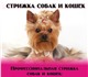 Скачать бесплатно фото Стрижка собак Стрижка собак и кошек в Нижнем Тагиле 168315 в Москве Изображение в Домашние животные Стрижка собак Уважаемые владельцы! Хочу предложить Вам в Москве 800