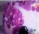 Увидеть фото Отделочные материалы Фотообои от производителя в НН 4016953 в Нижнем Новгороде Фотография в Строительство и ремонт Отделочные материалы После затяжной зимы всем хочется чего-то в Нижнем Новгороде 800