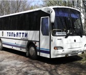 Фото в Авторынок Авто на заказ Автобус на заказ КАВЗ-423800 Аврора, 35+1 в Тольятти 1 100